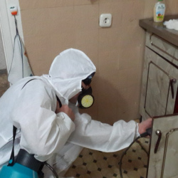 Дезинфекция от муравьев в квартире Филатов Луг метро Москвы