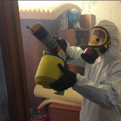 Уничтожение клопов в квартире. Филатов Луг
